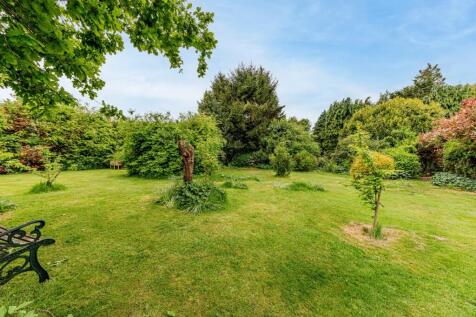 Rear Garden (4)