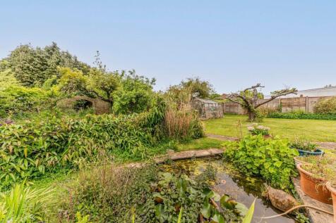 Rear Garden (3)