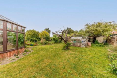 Rear Garden (6)