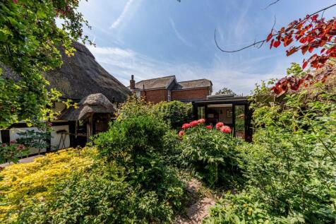 Rear Garden (2)