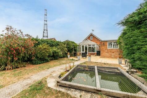 Rear Garden (5)