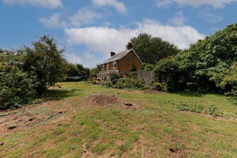 Rear Garden (3)