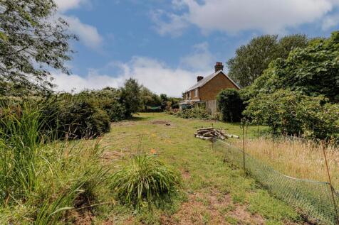 Rear Garden (5)