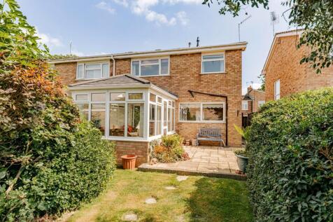 Rear Garden (2)