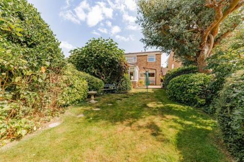 Rear Garden (4)