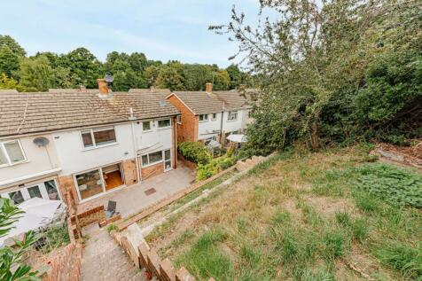 Rear Garden (1)