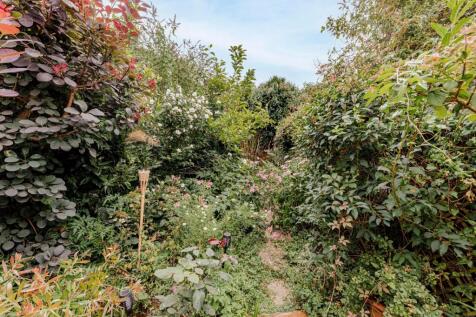 Garden (4)