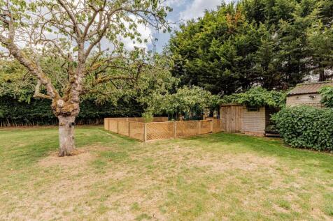 Rear Garden (2)