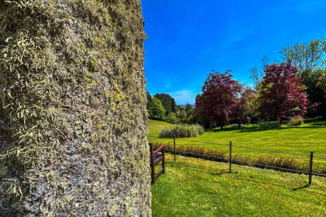 Property Image 58