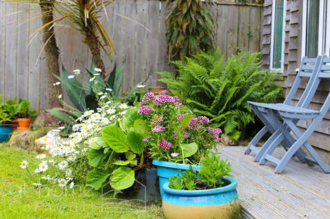 Property Image 47