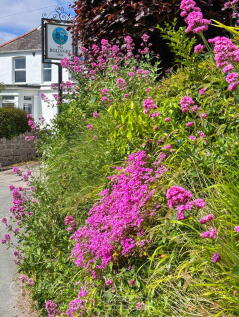 Property Image 66