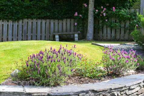 Property Image 63