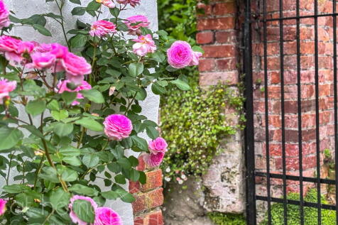 Property Image 67