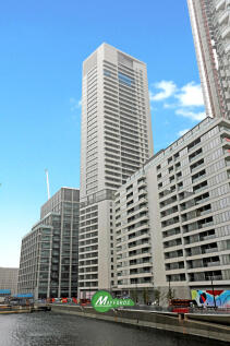 IMG_576_9_original.jpg