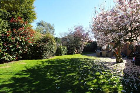 Garden 1.JPG