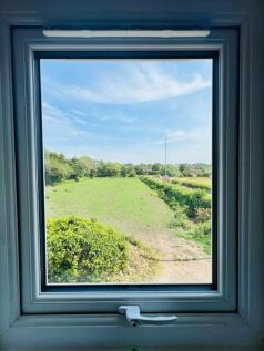 IMG_0244.jpeg