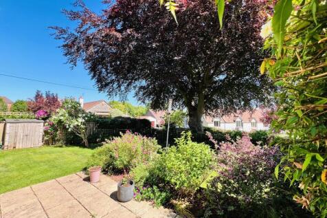 Patio &amp; Garden