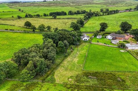 Property Image 54