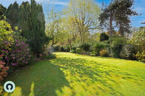 Property Image 71