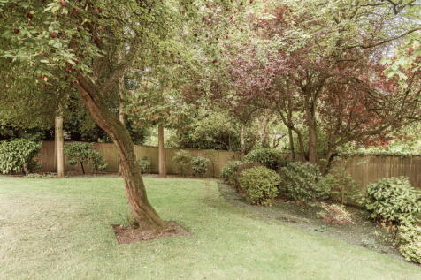 Property Image 45