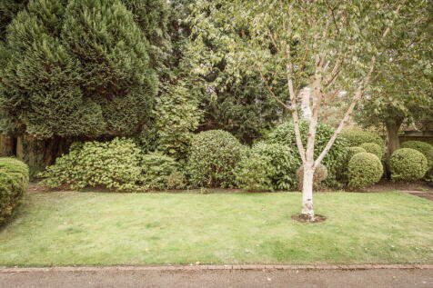 Property Image 46
