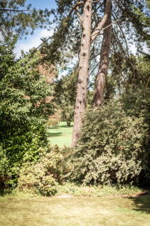 Property Image 64
