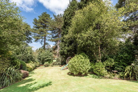 Property Image 65