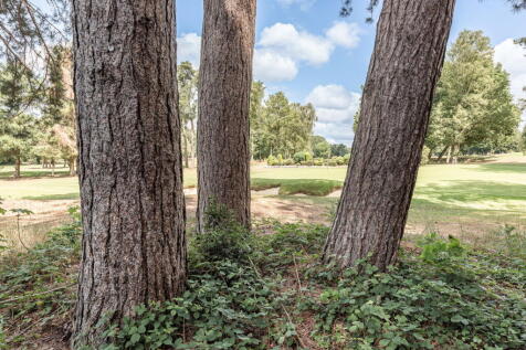 Property Image 67