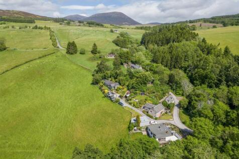 DJI_0389.jpg