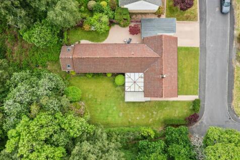 DJI_0302.jpg