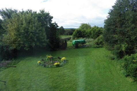garden.JPG