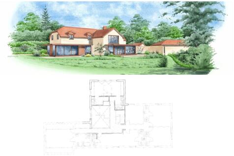 Property Image 43