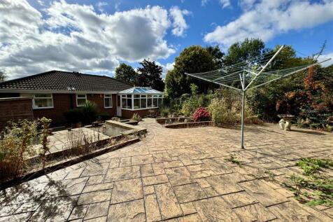 a garden2.jpeg
