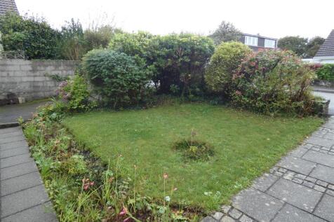 front garden 2.JPG