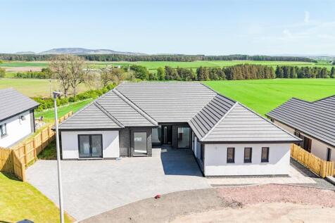 PLOT 13