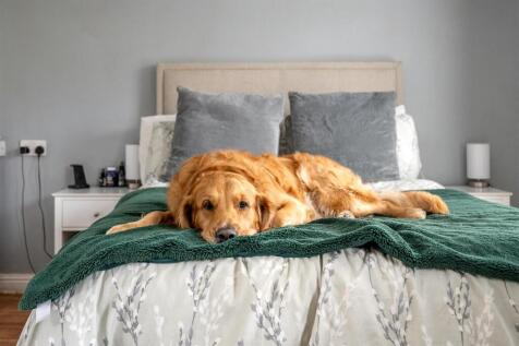 Connington Crescent E4