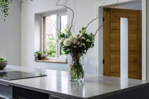 Copy of DSC_2316.jpg