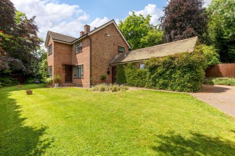Property Image 34