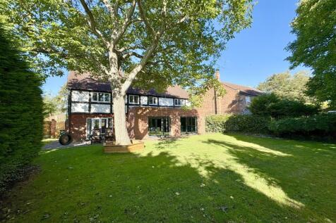 Property Image 39