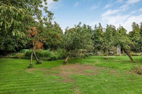 Property Image 50