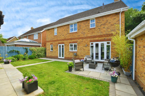 Property Image 16