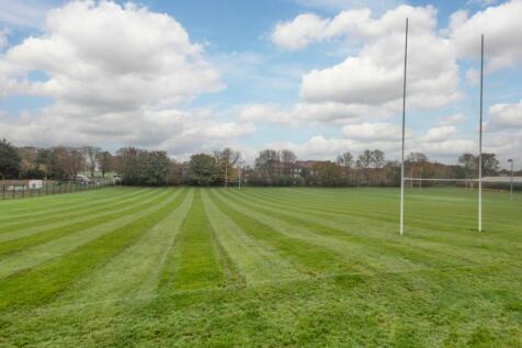 Rugby Club/Views