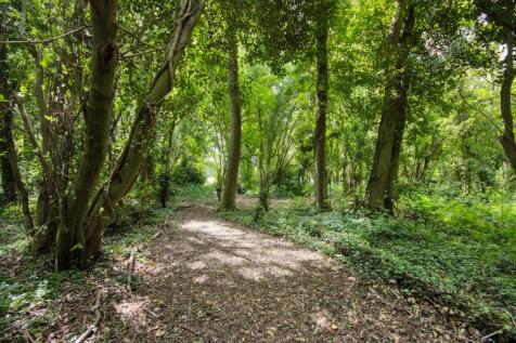Woodland
