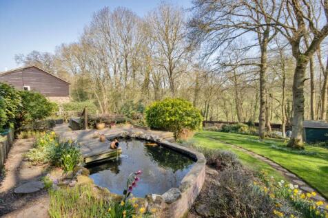 Pond &amp; Garden
