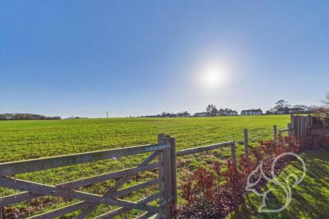 CAM01659G0-PR0374-STILL003.jpg