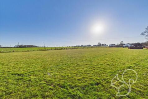 CAM01659G0-PR0374-STILL008.jpg