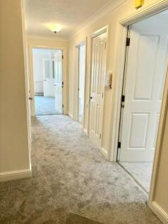Flat 20