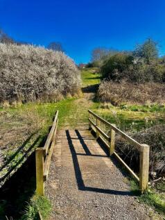 Local Walk