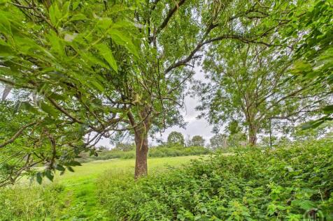 Rear Meadow