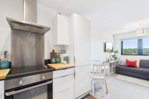 Kitchen/Living Area